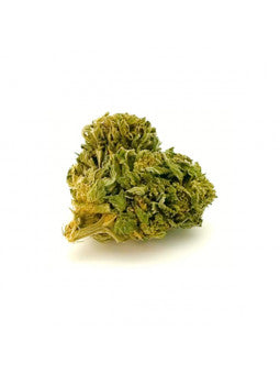 White Widow
